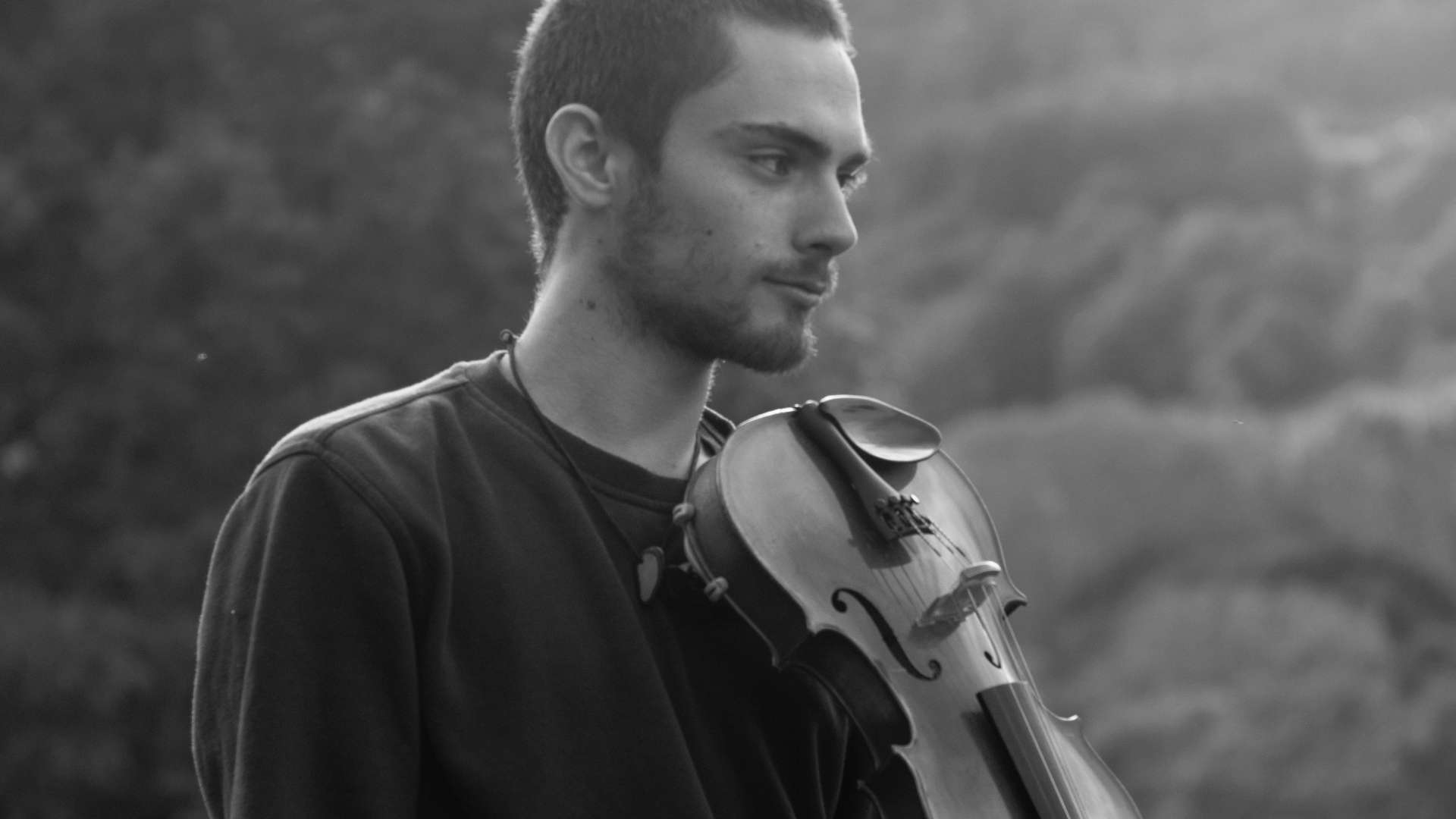 SUMAC DUB L'aéronef